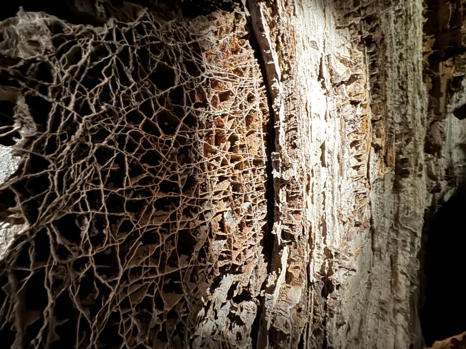 Inside Wind Cave during the guided tour